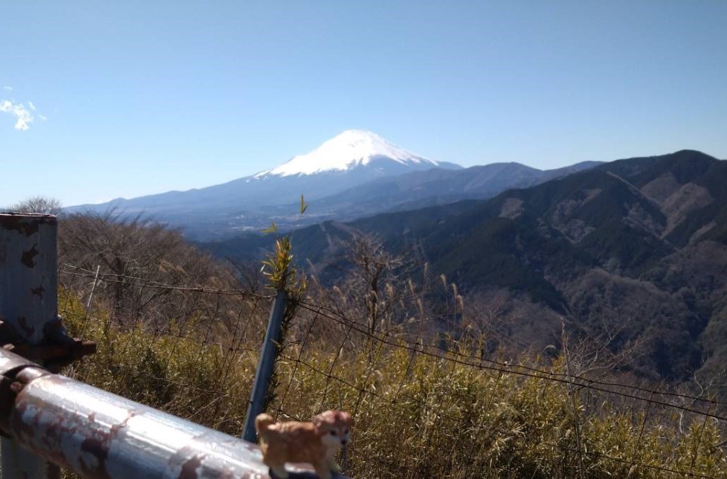 富士山が近い