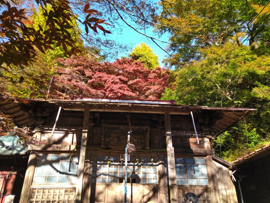 大山寺は紅葉が見頃でした