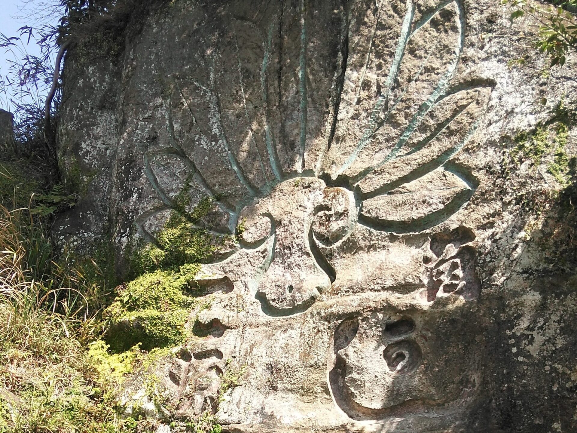 鎌倉登山で見かけた謎の模様