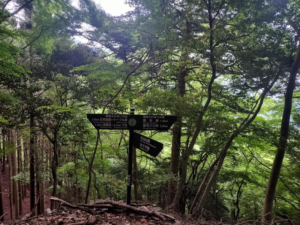 かごや道へ向かう