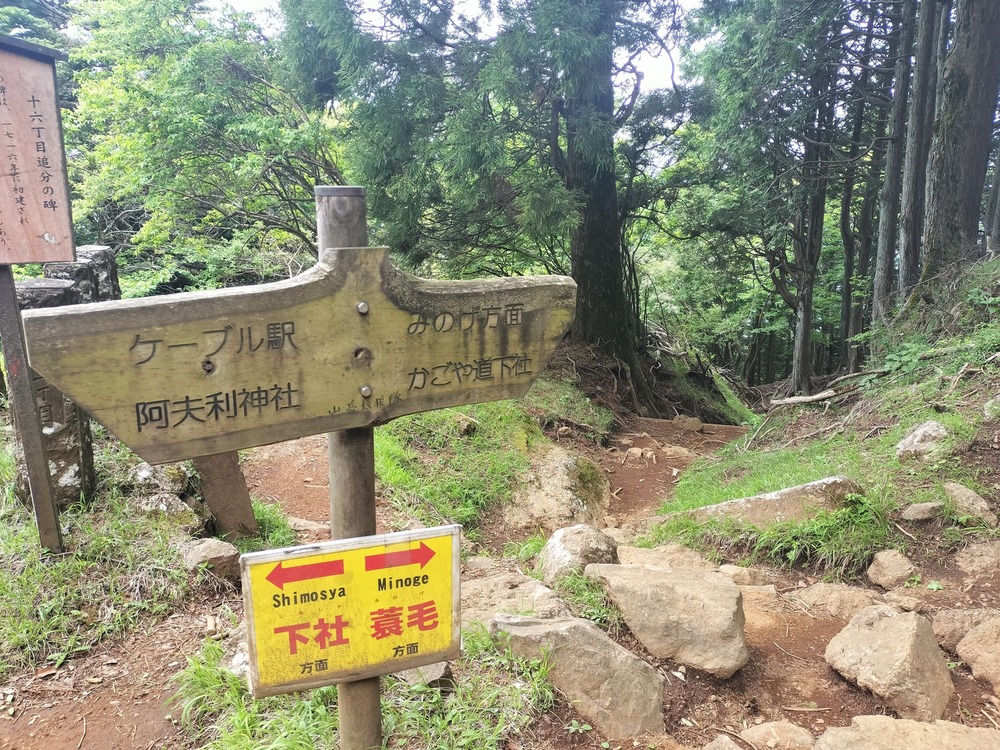ここでいつもの大山への道に合流