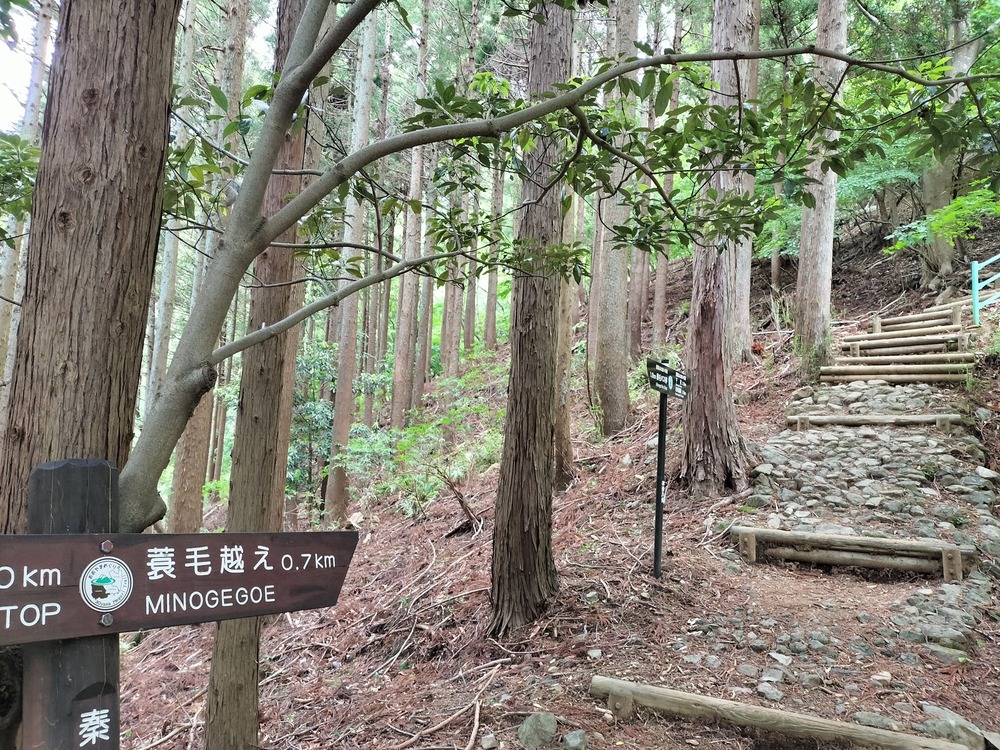 なだらかな道が続く。蓑毛越えまで残り700mあたりで急登始まるが、整備されていて歩きやすい