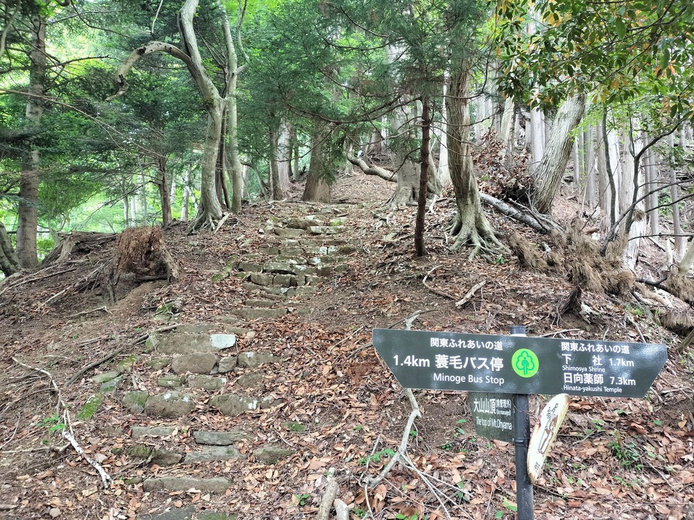大山山頂へ