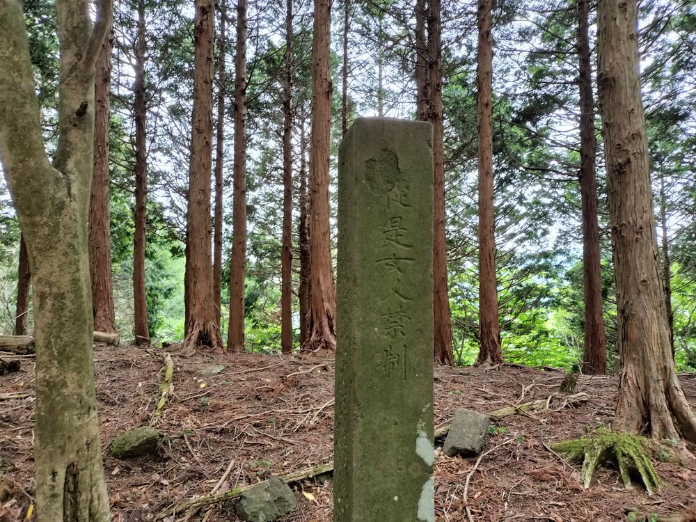 昔はこの先が女人禁制の道だった