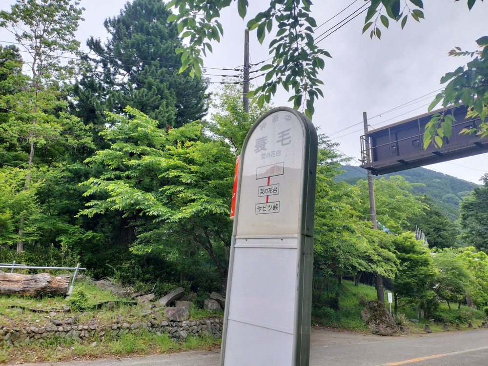 蓑毛バス停