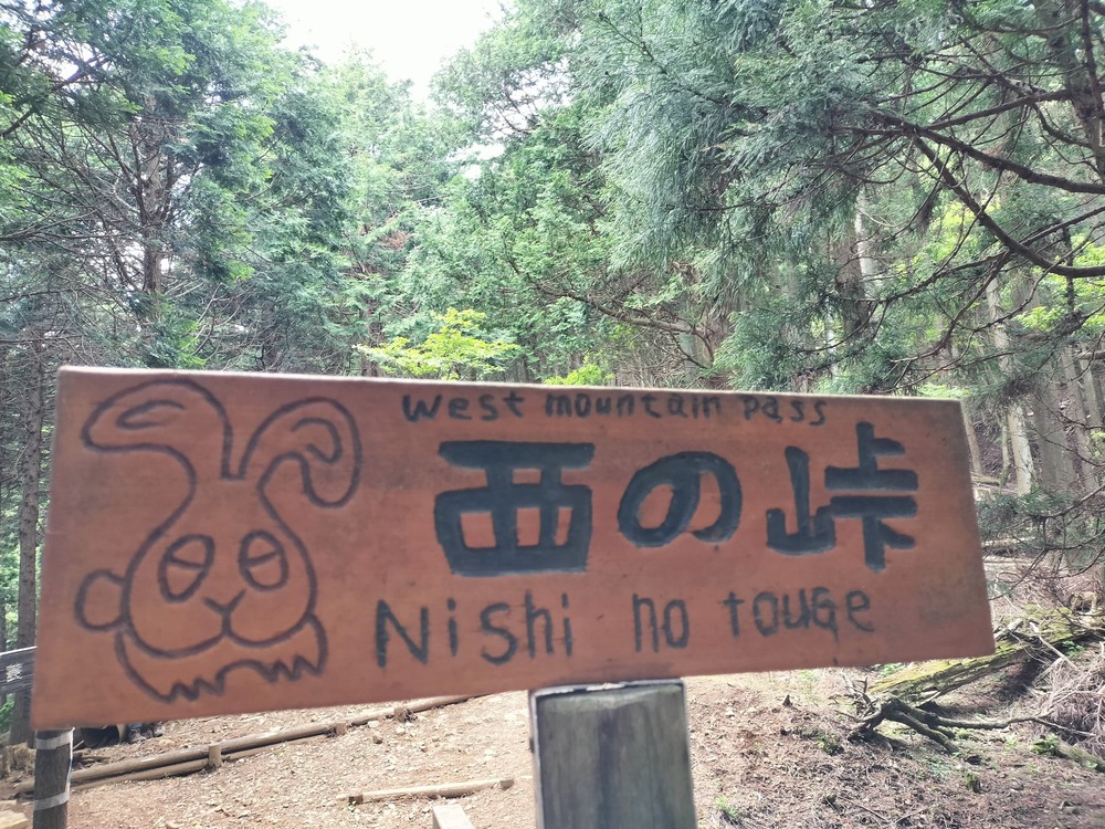 西の峠を指すうさぎがかわいい