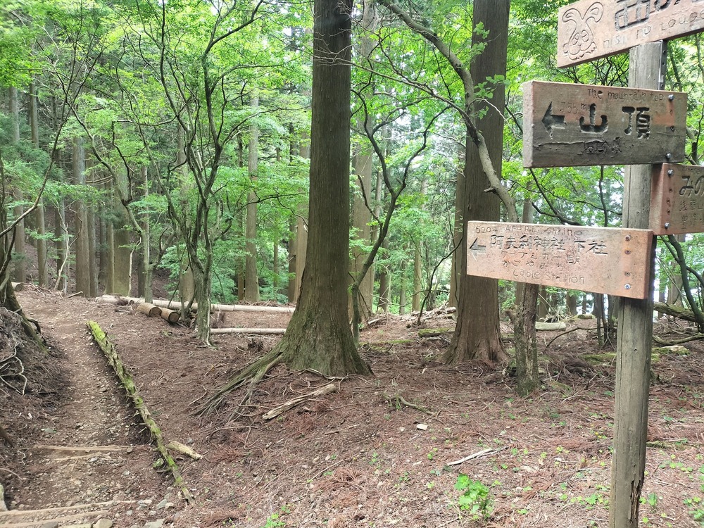 下山時は再びここまで戻り、阿夫利神社下社方面へ
