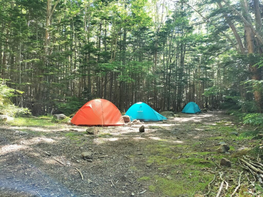 しらびそ小屋のテント場