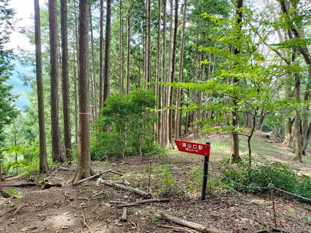 浦山口ルートは案内板があるので迷いにくい
