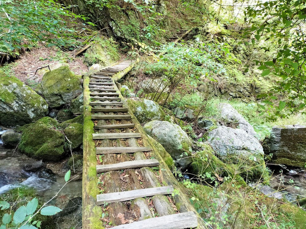 浦山口ルートの橋