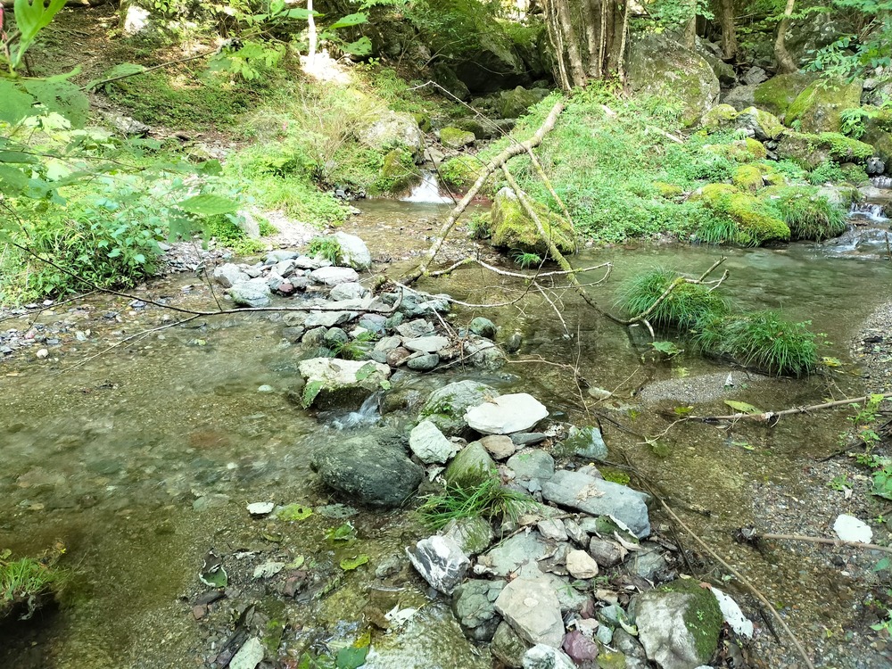 渡渉もありますが、濡れずに行けました