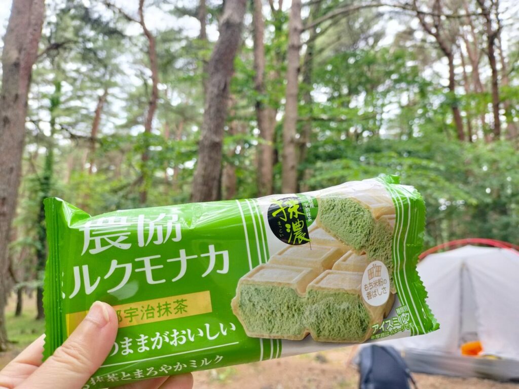 本栖湖キャンプ場の売店で買ったアイス