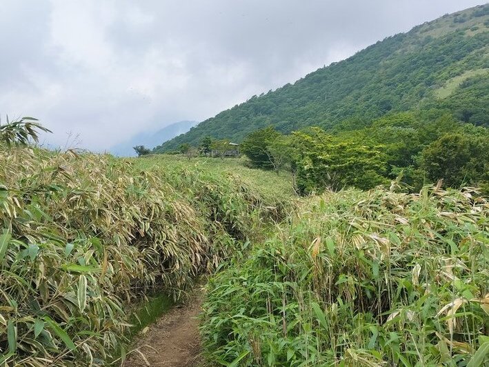 竜ヶ岳登山